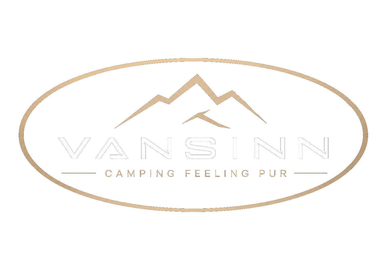 Vansinn Logo